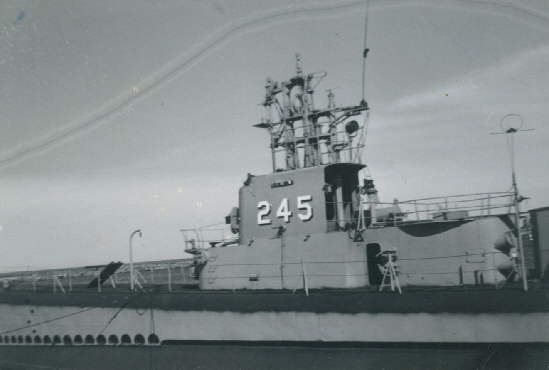 Cobia245-1960m.jpg