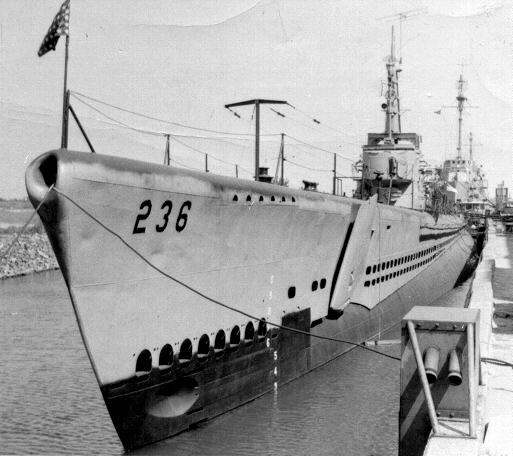 silversides236.jpg